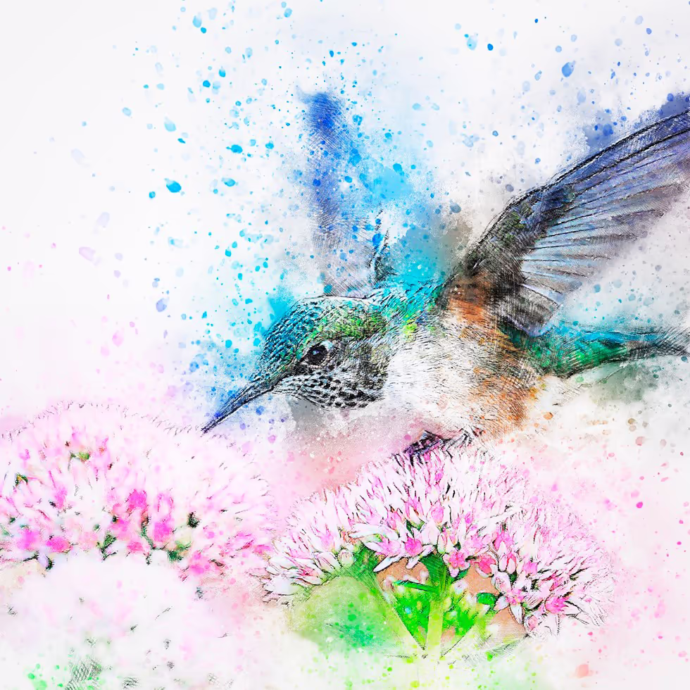 Красивый колибри пьет нектар из розовых цветов