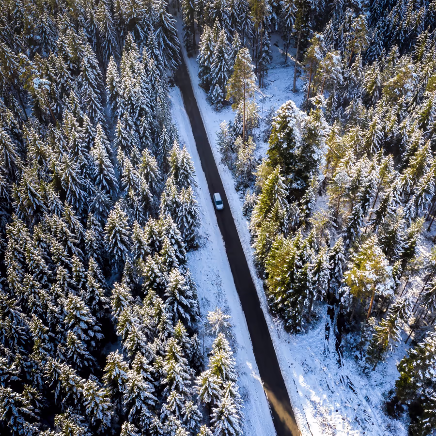 Автомобиль едет по заснеженной дороге окруженной густым хвойным лесом
