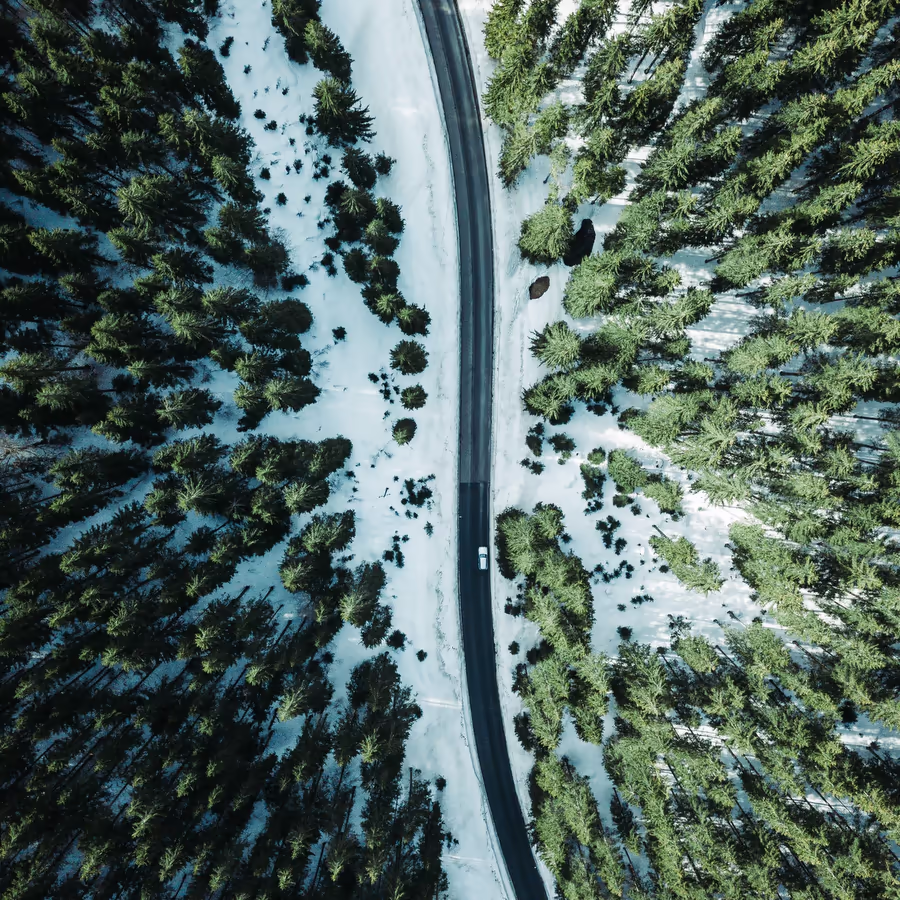 Автомобиль едет по заснеженной дороге проложенной через густой хвойный лес