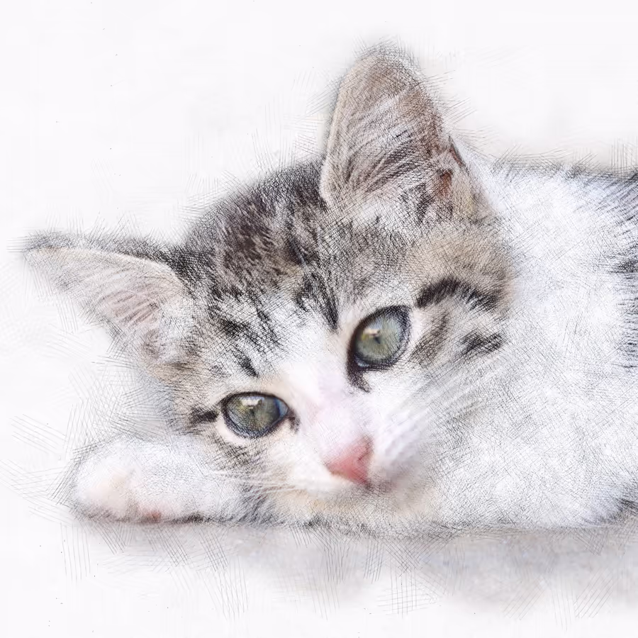 Милый полосатый котенок спит