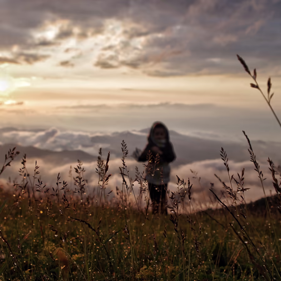 Фигура человека в поле травы на фоне заката и облаков