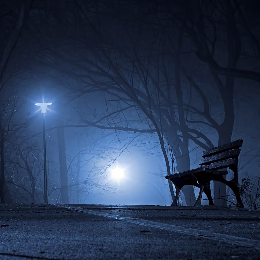 Одинокая скамья освещенная фонарями в ночном парке окутанном густым туманом