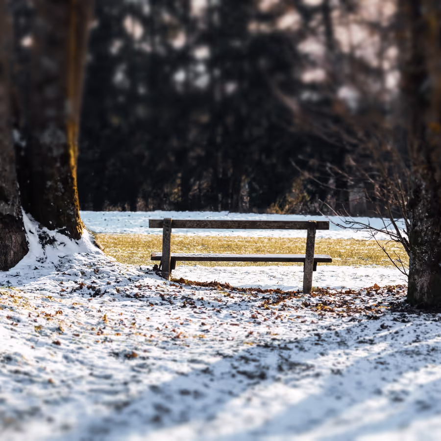 Скамейка одиноко стоит в заснеженном парке