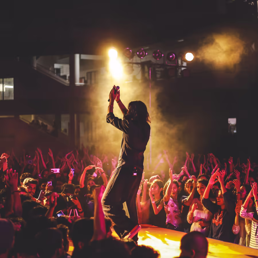 Сольный исполнитель выступает перед восторженной толпой на концерте