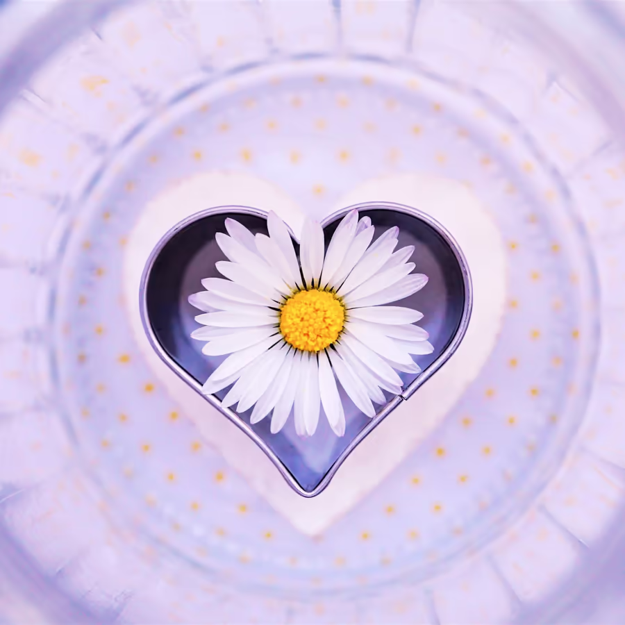 Белая ромашка заключенная в сердце из прозрачного стекла