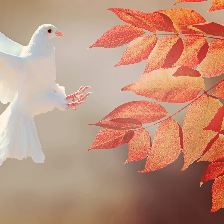 Голубь летит к рыжей листве символ мира и осени