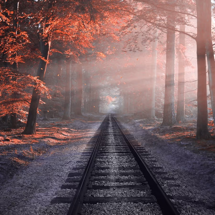 Заброшенная железнодорожная линия в осеннем лесу