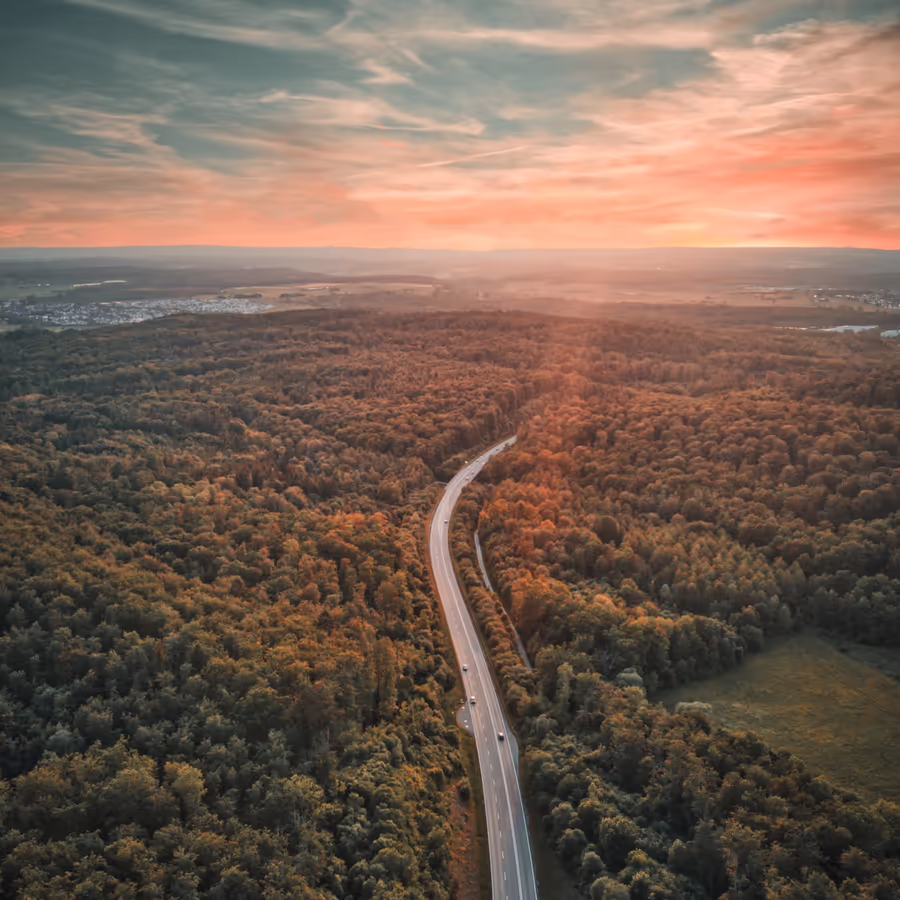 Вид с высоты птичьего полета на извилистую дорогу проходящую через густой осенний лес в лучах заката