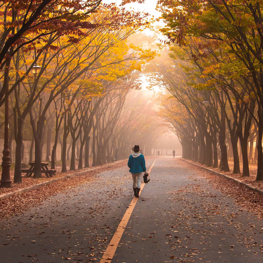 Прогулка по осеннему парку в туманное утро