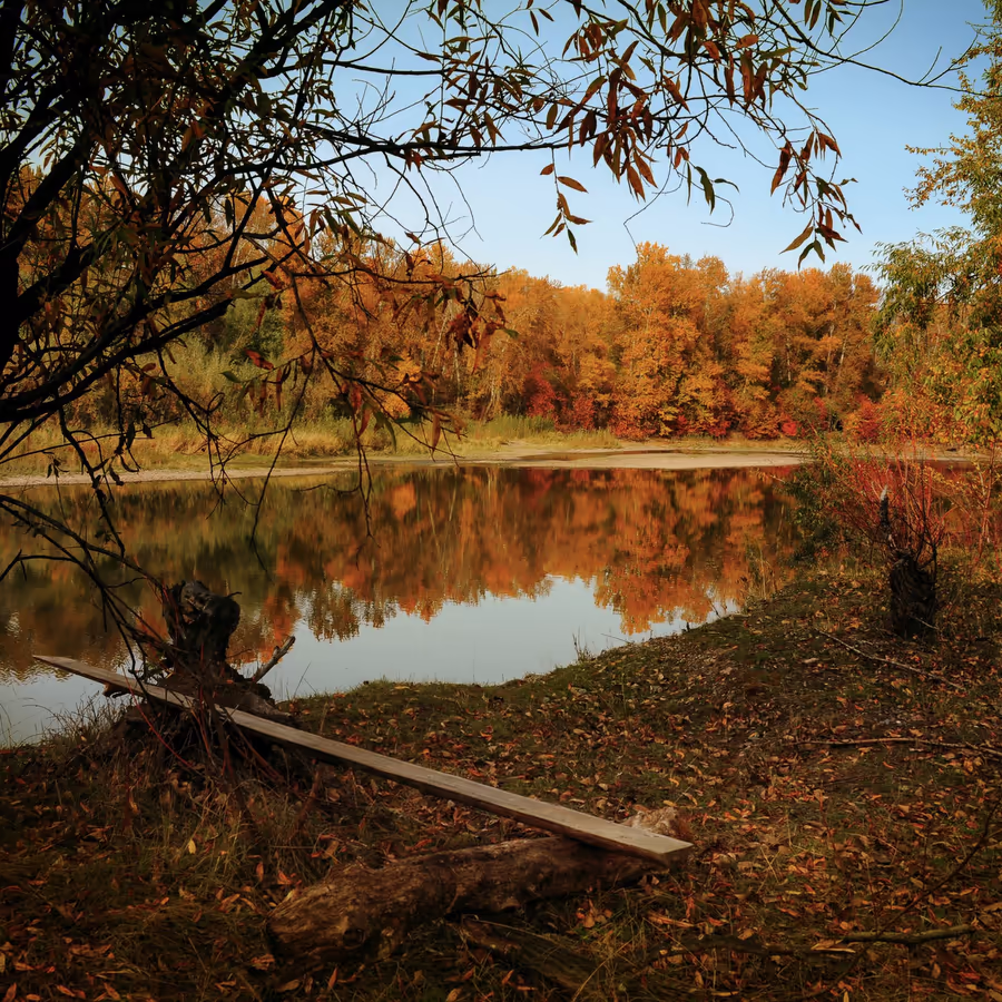 Красивый осенний вид озера окруженного яркими деревьями