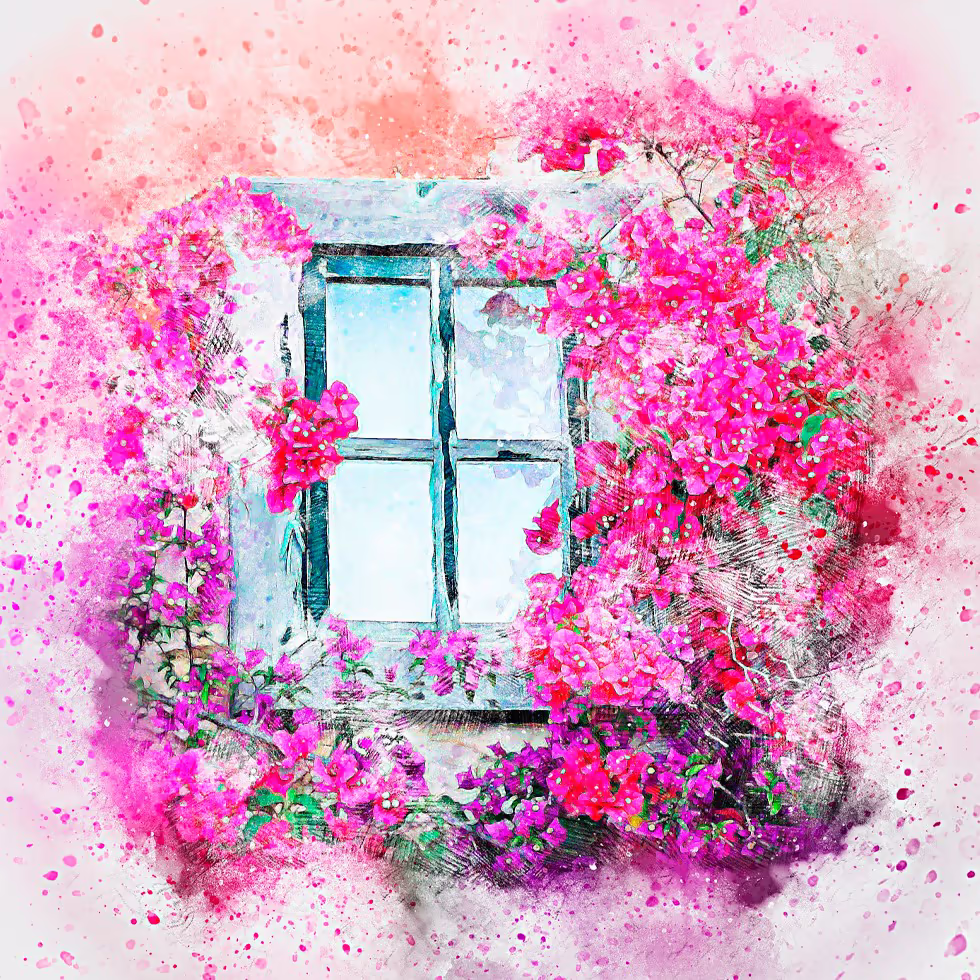 Яркое окно украшенное бугенвилией