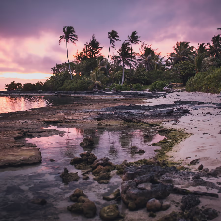 Спокойный вечерний пейзаж с пальмами и отражениями в воде