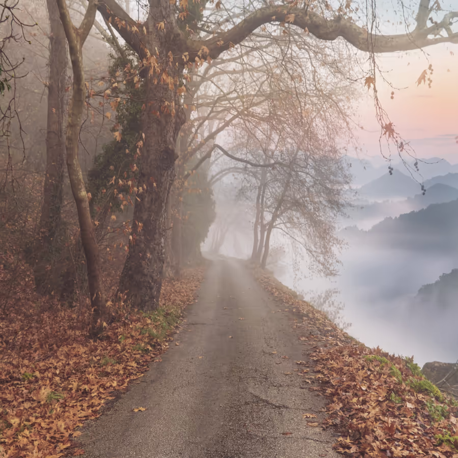 Завораживающий пейзаж осенняя дорога укутанная густым туманом
