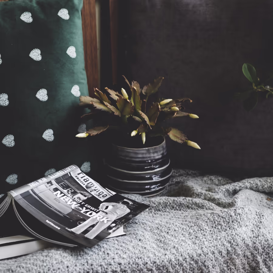 Спокойная композиция с подушкой растением в вазе и открытой книгой