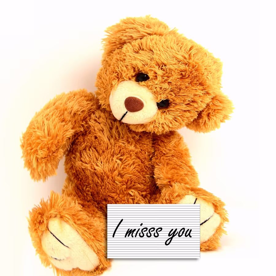 Милый коричневый медвежонок держащий табличку с признанием в скуке