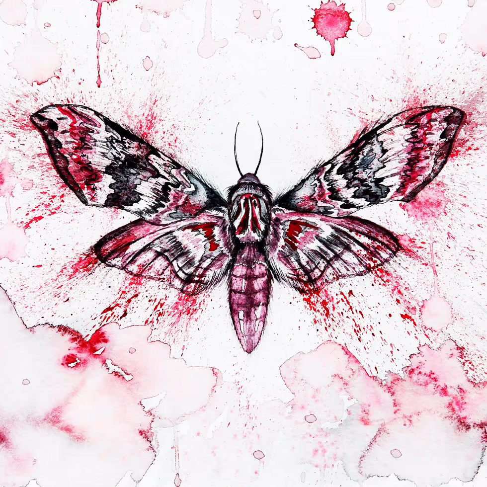 Бабочка Мертвая голова с акварельным эффектом