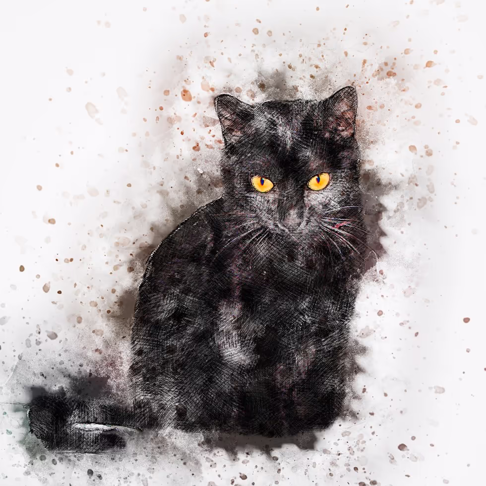 Элегантный черный кот с пронзительным взглядом