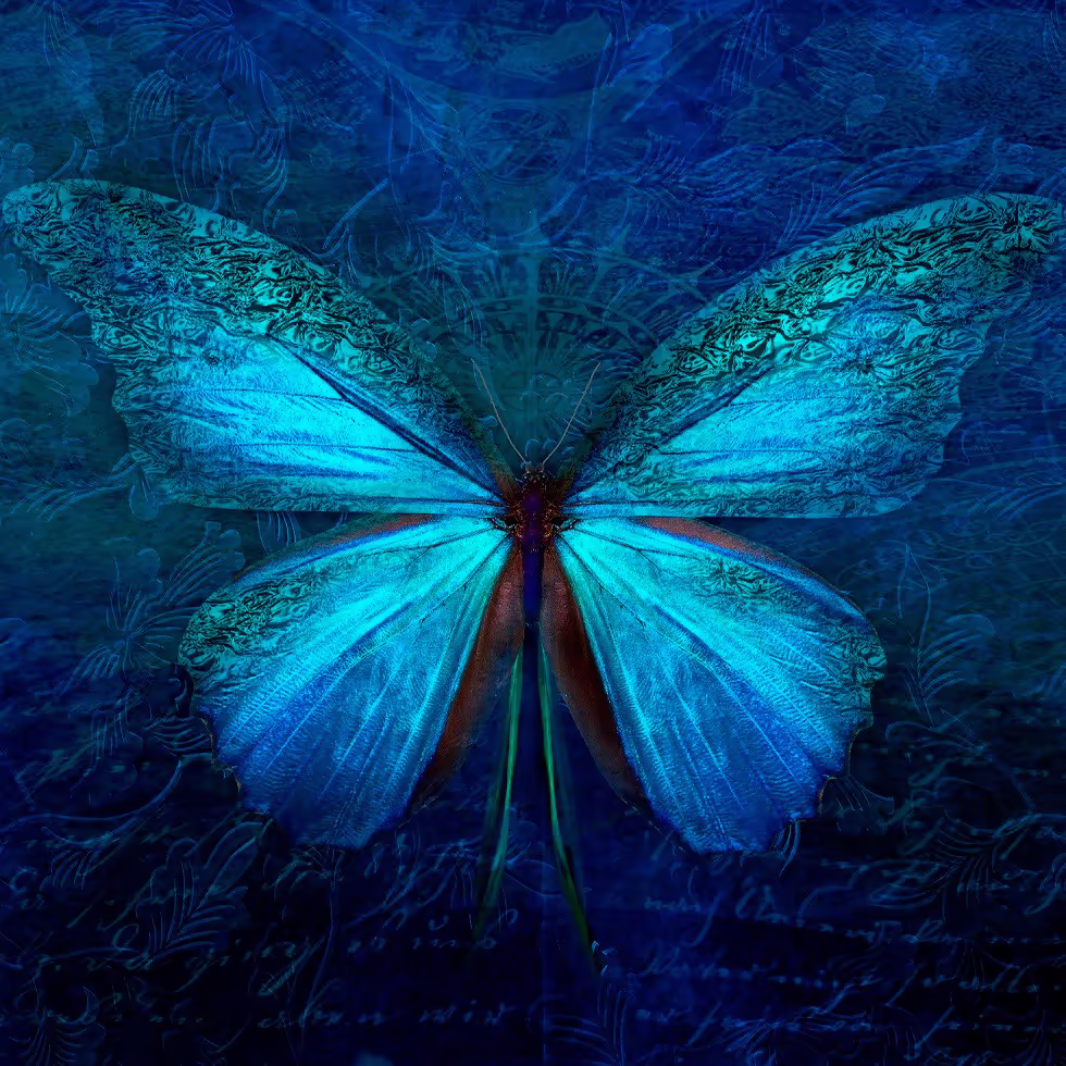 Элегантная синяя бабочка с замысловатым узором на крыльях расположенная на фоне старинных текстов и растительных орнаментов