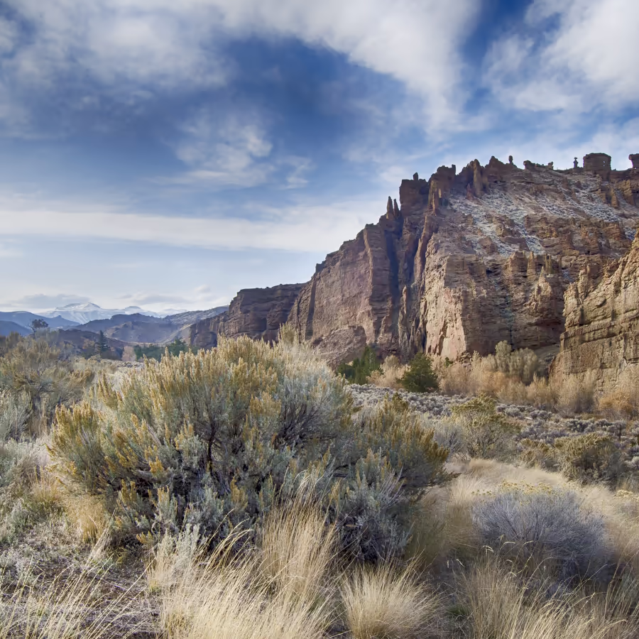 Суровый пейзаж пустыни с характерными скальными образованиями