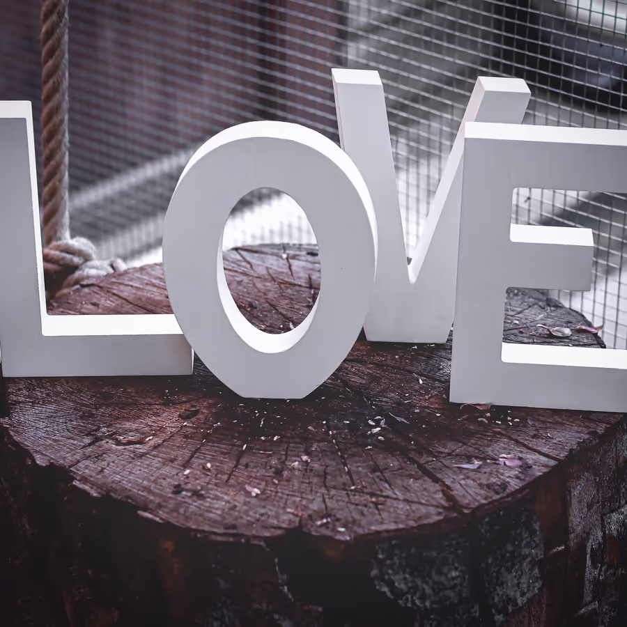 Большие буквы LOVE на деревянном срезе