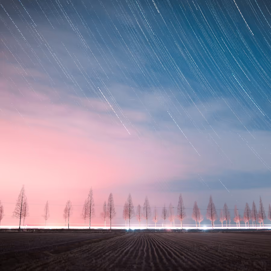 Длинная выдержка показывает движение звезд над темным полем с деревьями