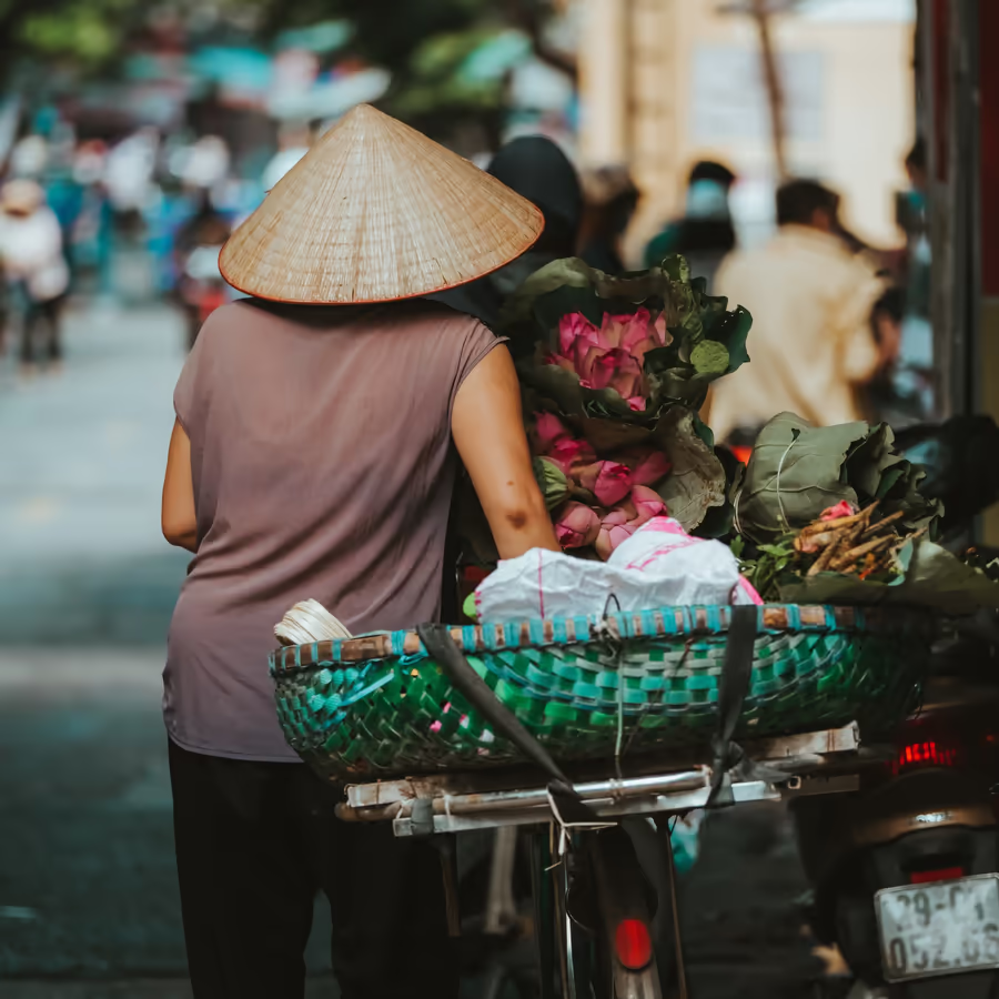 Женщина везёт корзину с лотосами на мотоцикле по улице Ханоя Вьетнам
