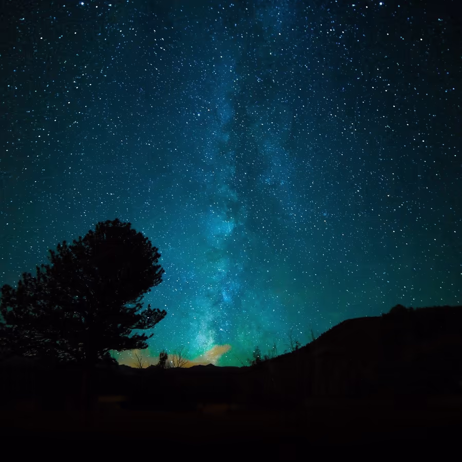 Ночное небо усыпанное звездами Млечного Пути с силуэтами деревьев и гор
