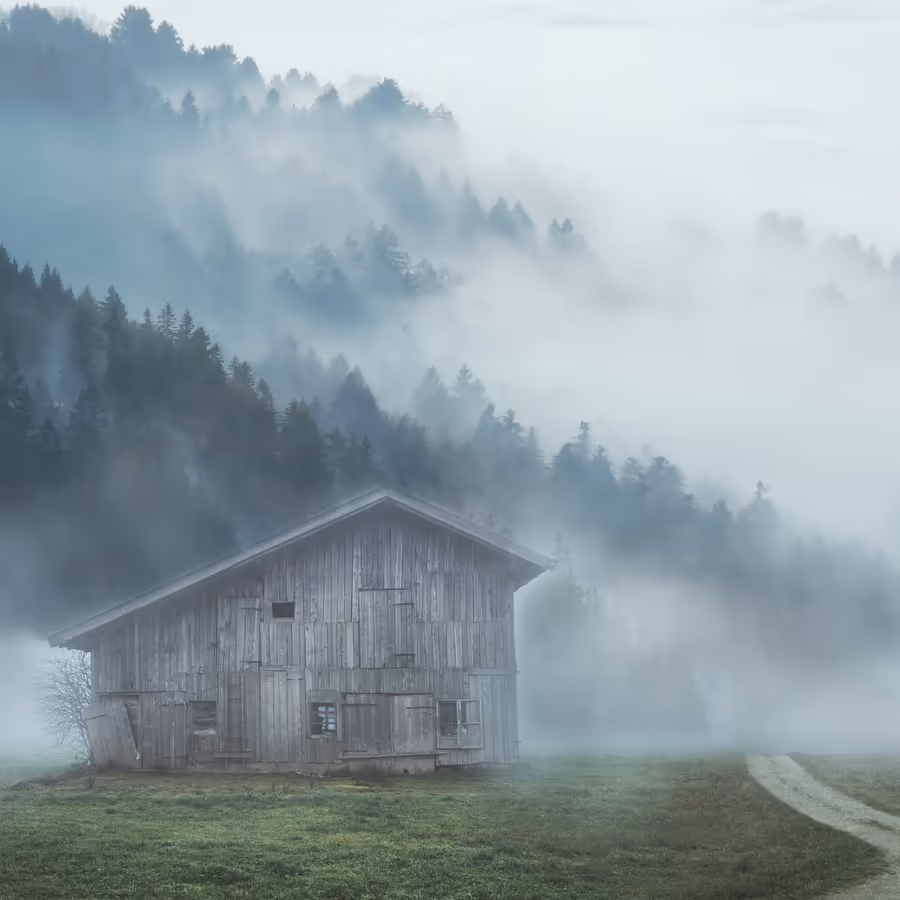 Заброшенный деревянный амбар окутан густым утренним туманом окруженный хвойным лесом