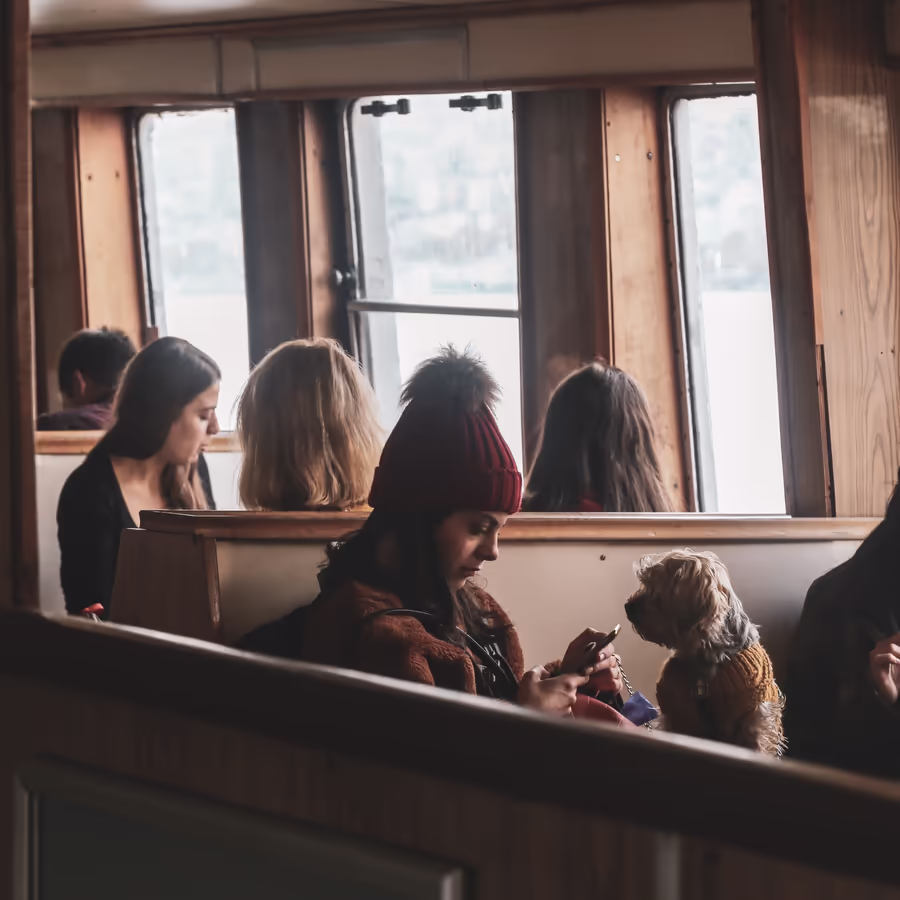 Люди смотрят в окно во время поездки