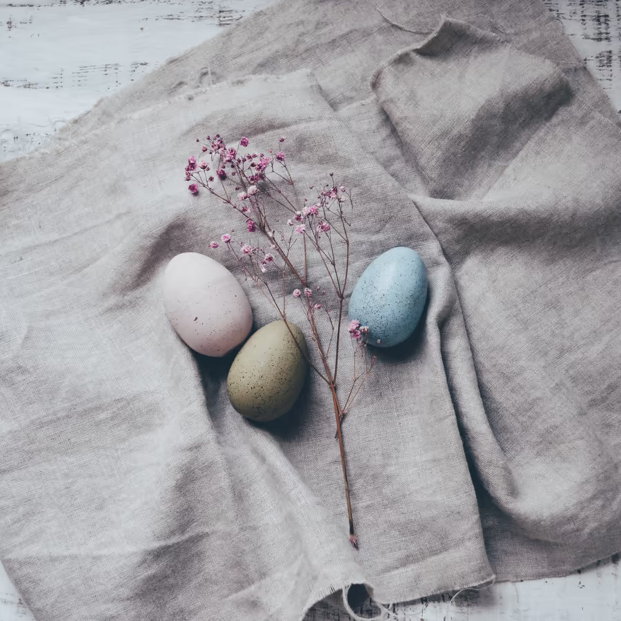 Красивые пастельные яйца и нежная веточка цветка на ткани