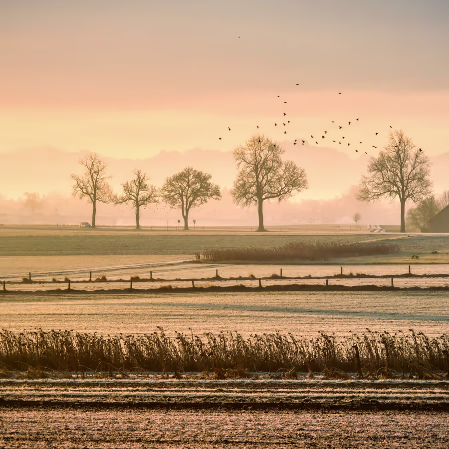 Спокойный зимний рассвет в поле