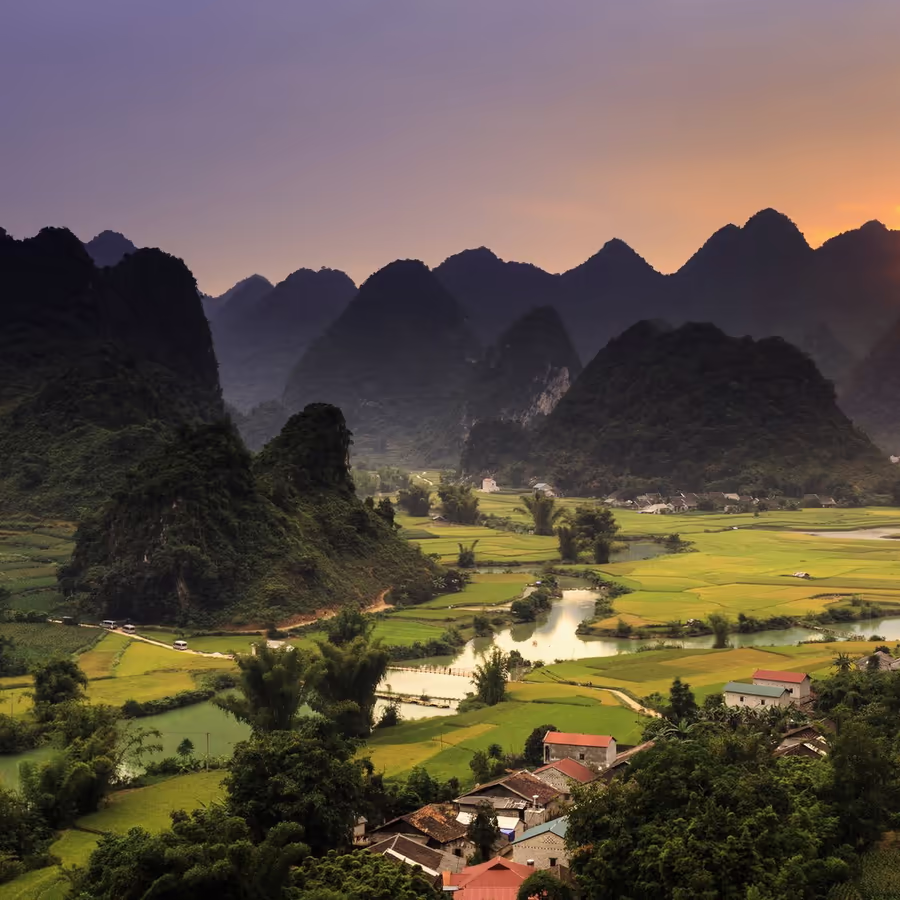 Живописный пейзаж с рисовыми полями и карстовыми горами