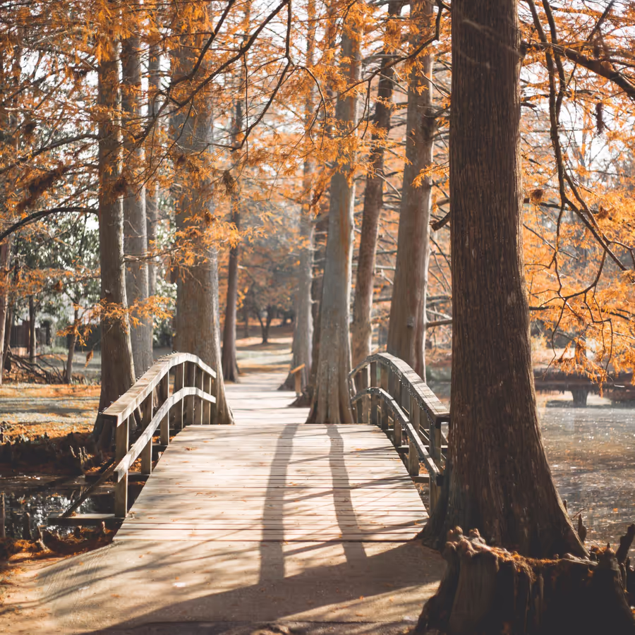 Живописный деревянный мостик в осеннем парке окруженный деревьями с золотой листвой