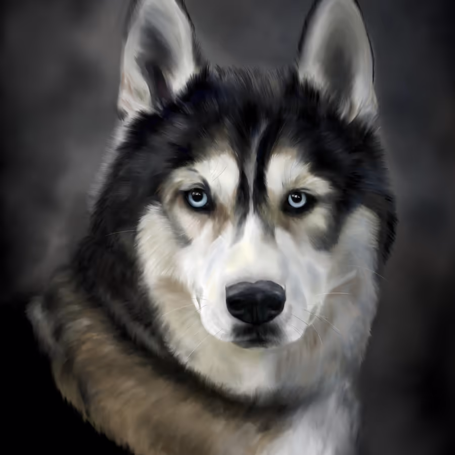Портрет красивого сибирского хаски с голубыми глазами