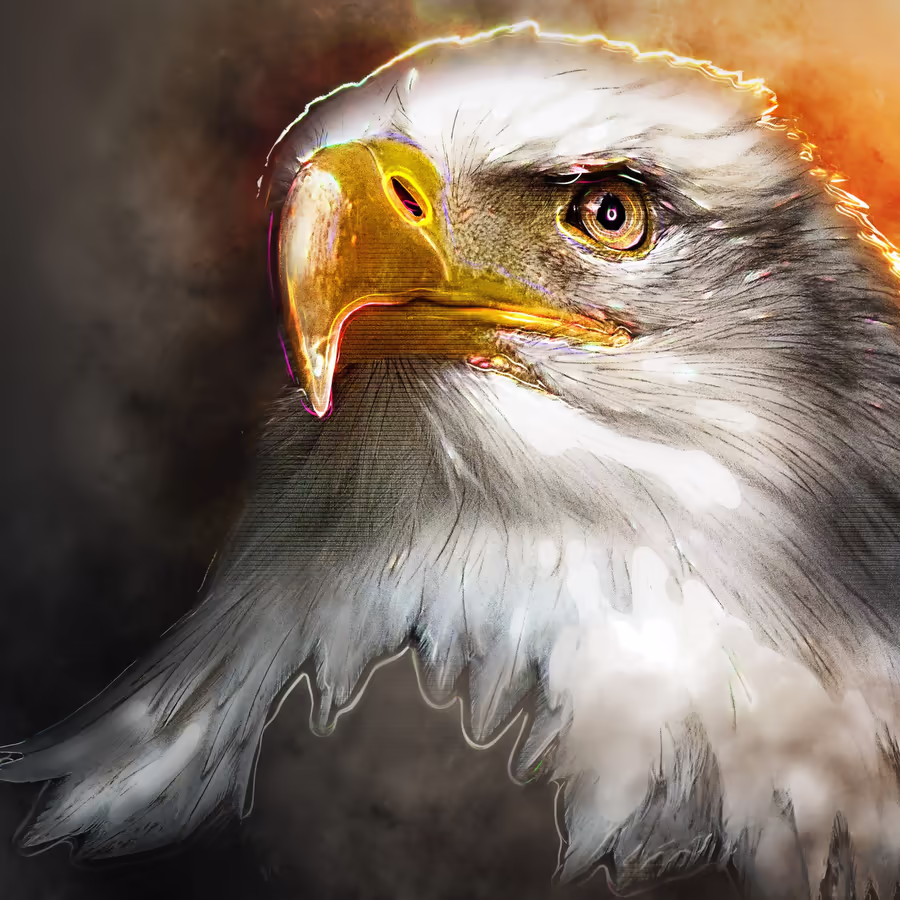 Портрет величественного белоголового орлана