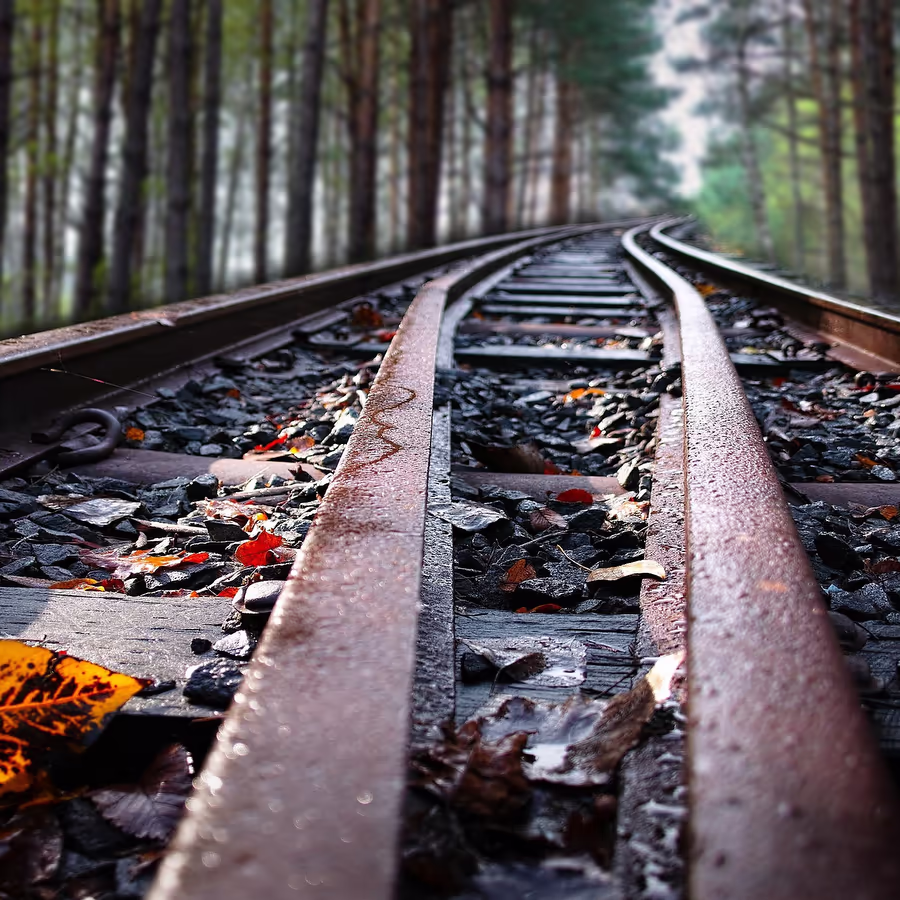 Железнодорожные пути уходящие в осенний лес