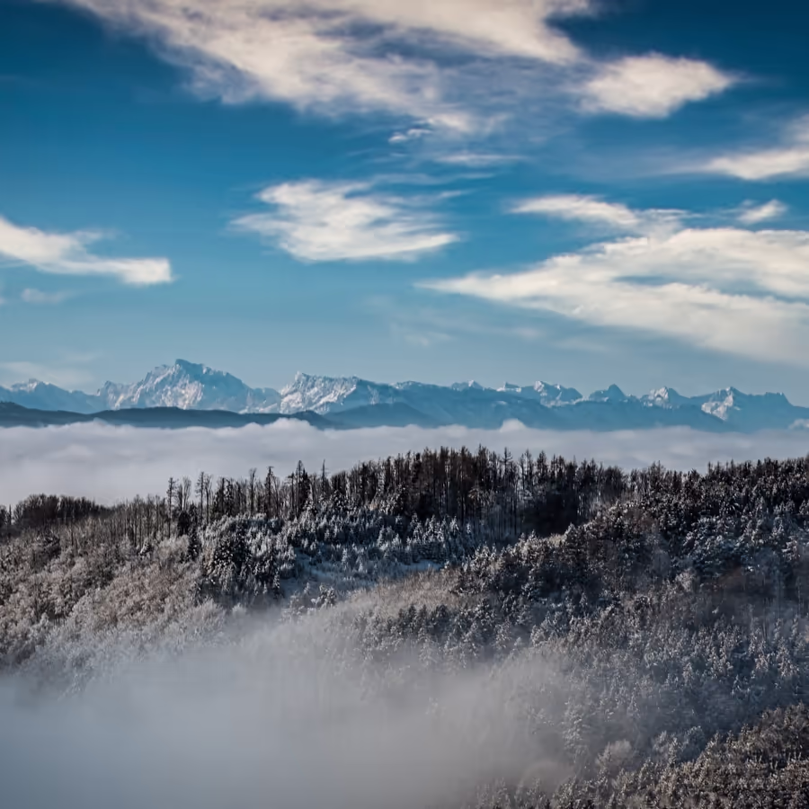 Заснеженный лес над облаками с видом на горные вершины