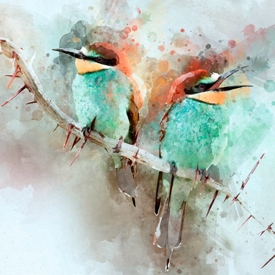 Две яркие птицы - щеглики сидящие на колючей ветке