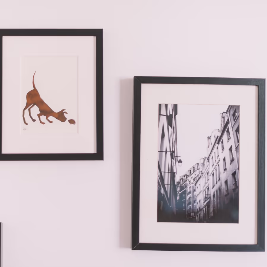 Два изображения в рамках собака делающая свое дело и вид городской улицы