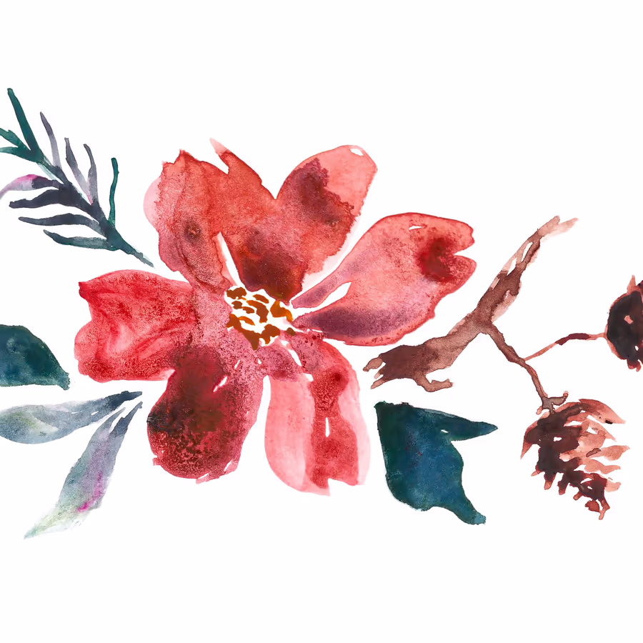 Акварельная иллюстрация с пуансеттией и еловыми шишками создающая атмосферу зимнего праздника