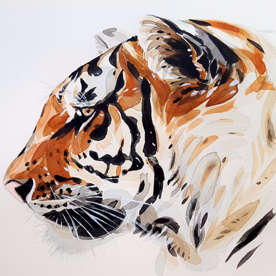 Акварельный портрет тигра