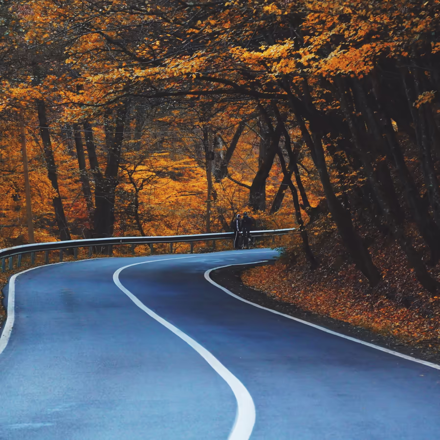 Извилистая дорога в золотом осеннем лесу